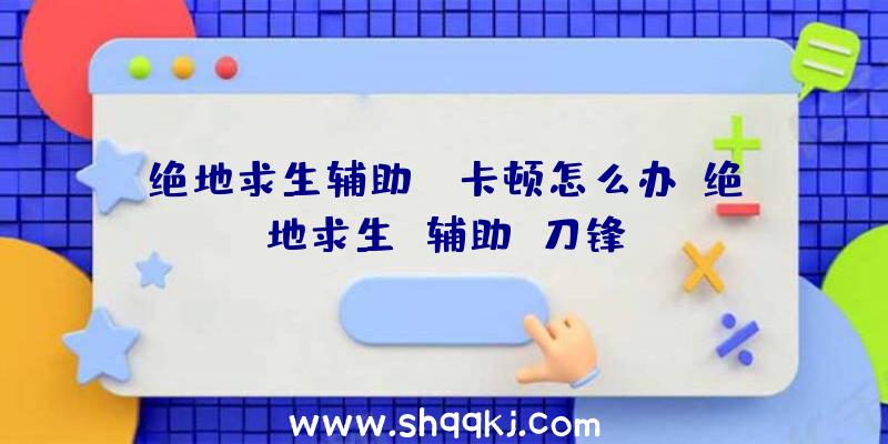 绝地求生辅助ez卡顿怎么办、绝地求生